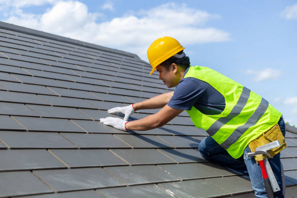 Best Solar Panel Roofing Installation  in Brookneal, VA