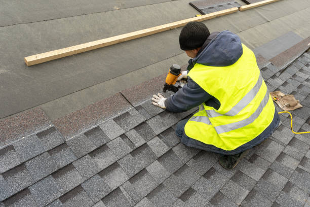 Best Roof Maintenance and Cleaning  in Brookneal, VA