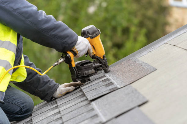 Best Roof Moss and Algae Removal  in Brookneal, VA